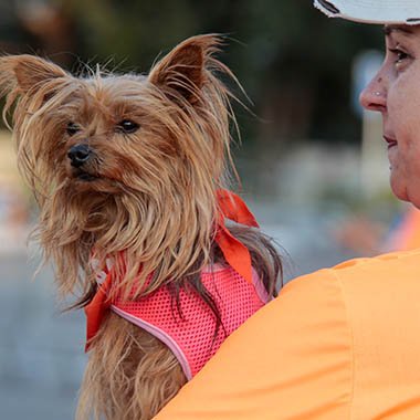 1� Findrun C�oCorrida e C�oCaminhada